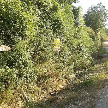 L'oasi